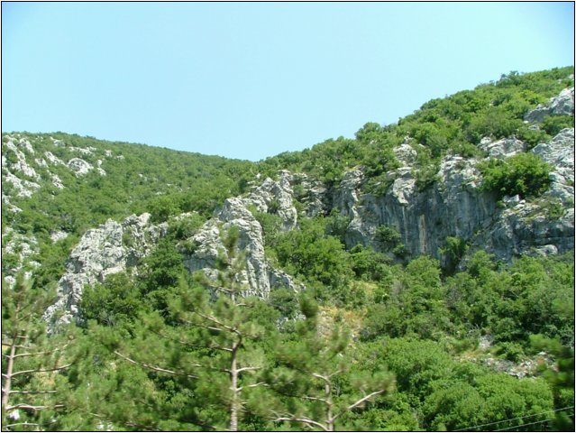 dscf6045.jpg