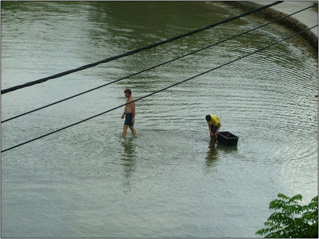 dscf6404.jpg