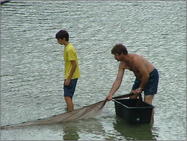 dscf6407.jpg