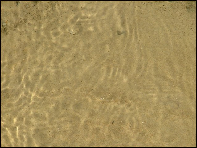 dscf6439.jpg
