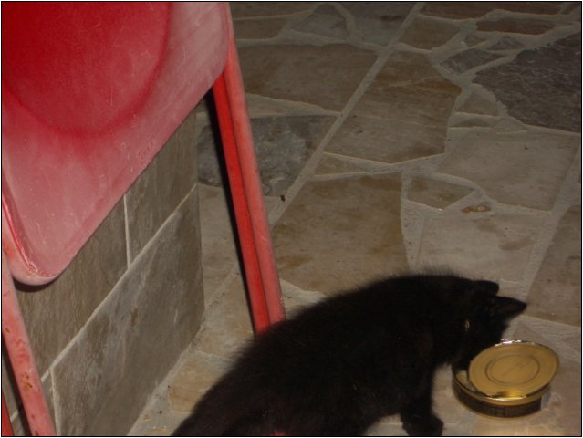imgp2232.jpg