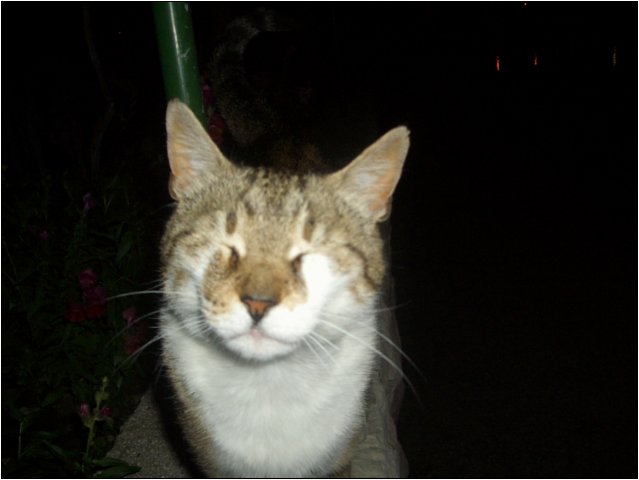 imgp2242.jpg