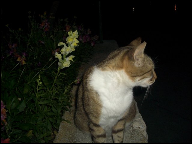 imgp2243.jpg