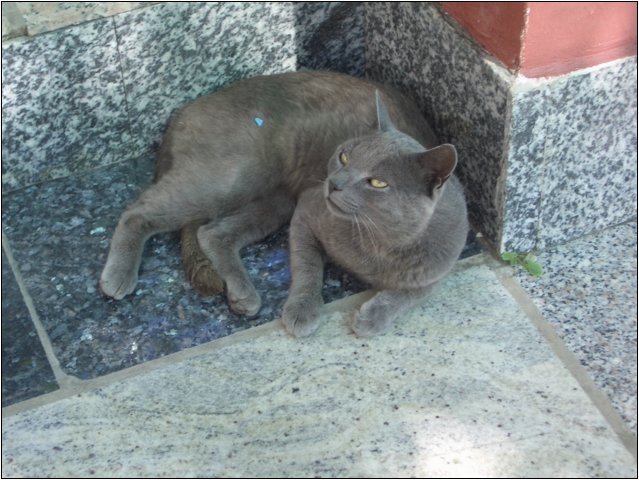 imgp2294.jpg