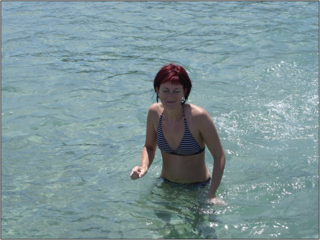 dsc03294.jpg