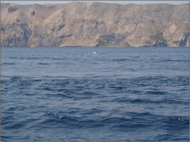 dsc03304.jpg