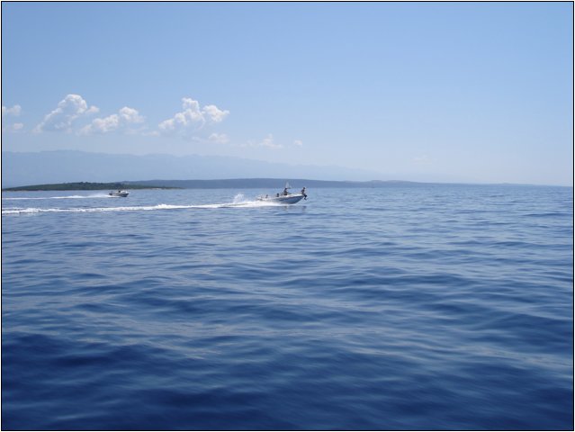 dsc03337.jpg