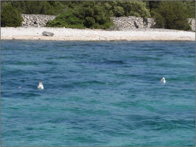 dsc03340.jpg