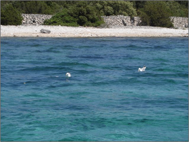 dsc03341.jpg