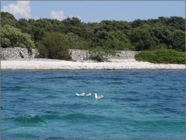 dsc03343.jpg