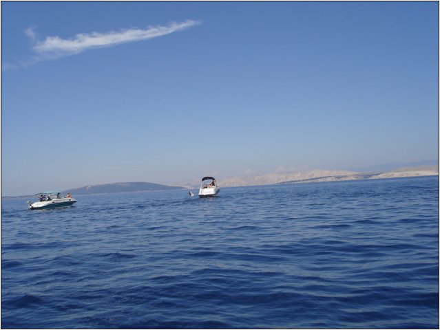 dsc03401.jpg