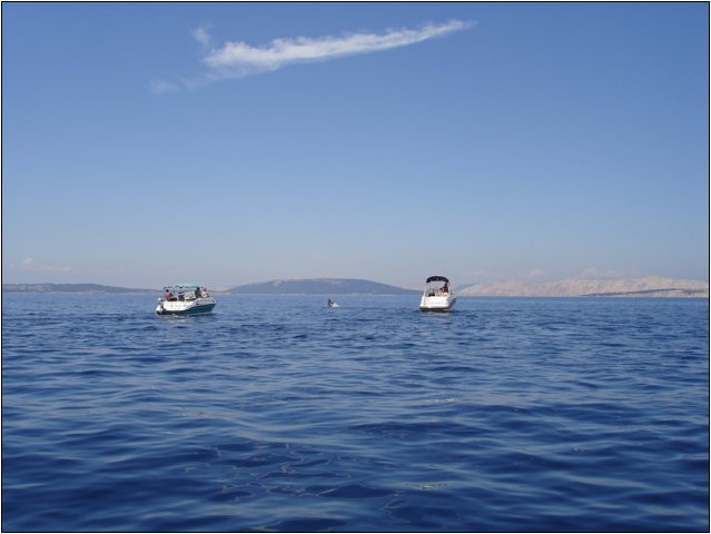 dsc03403.jpg