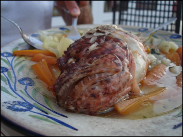 dsc03642.jpg