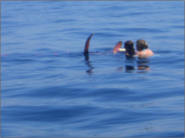 dumici_sommer_2010_007.jpg