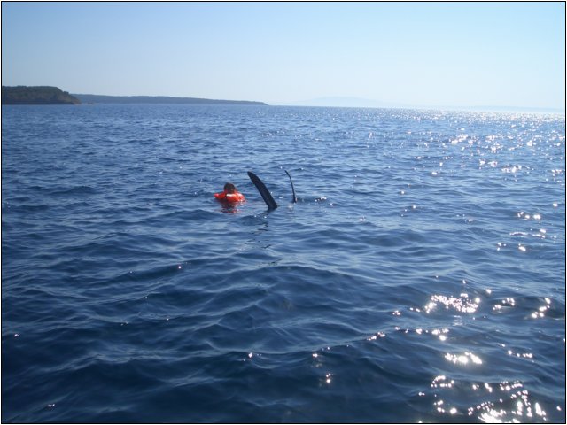 dumici_sommer_2010_028.jpg
