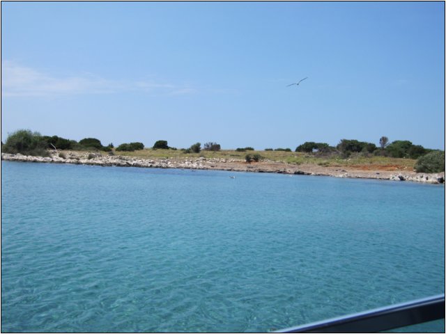 img_0769.jpg