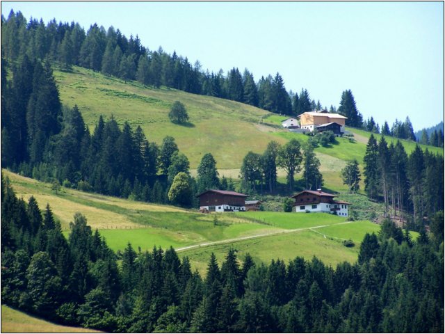 100_8833.jpg