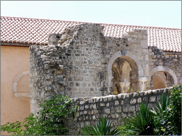 100_9009.jpg