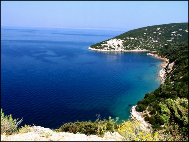100_9843.jpg