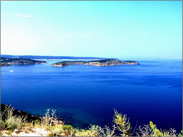100_9847.jpg