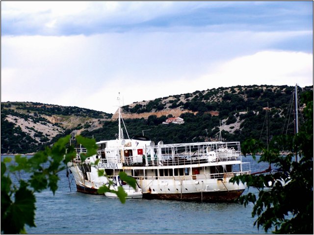 100_9902.jpg