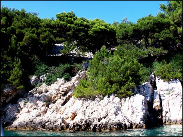 100_9945.jpg