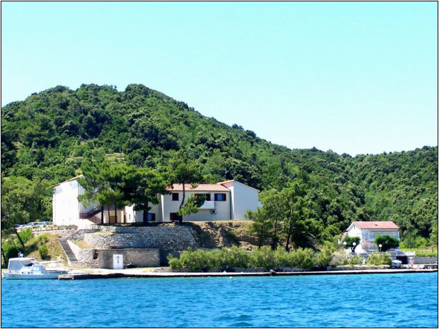 100_9953.jpg