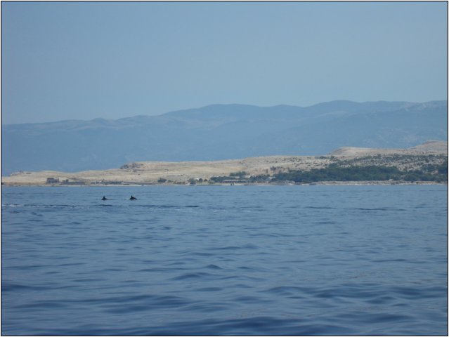 sdc10748.jpg
