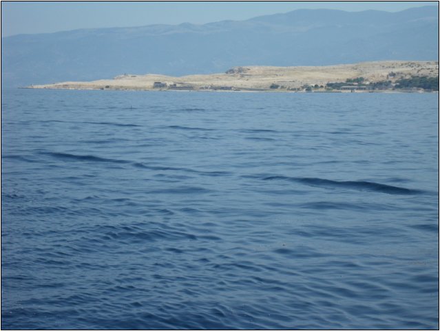 sdc10749.jpg