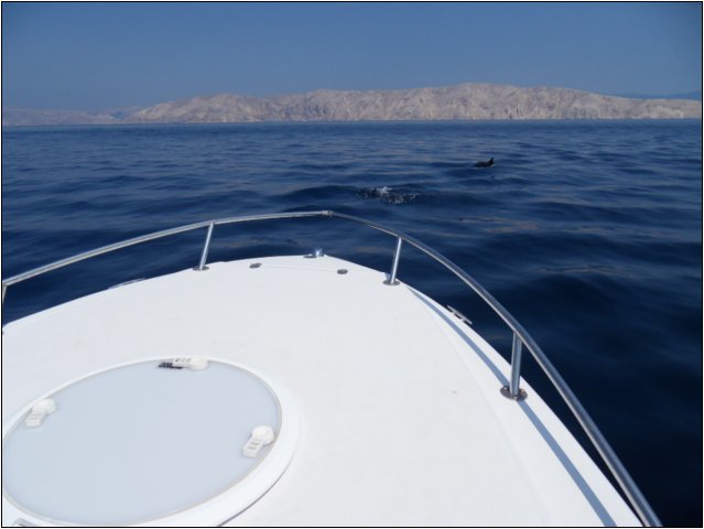 sdc10757.jpg