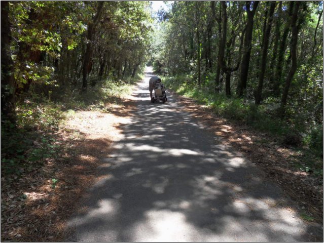 sdc10825.jpg