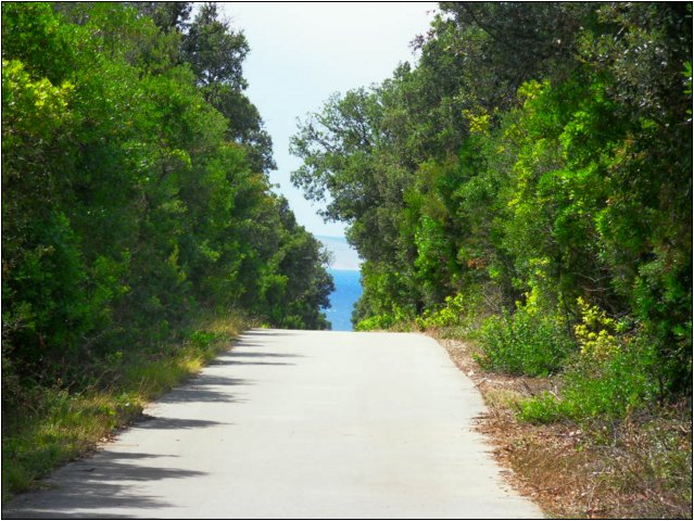 sdc10836.jpg
