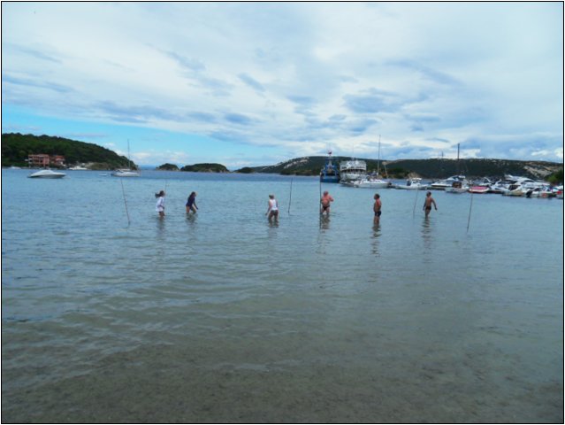 sdc10912.jpg